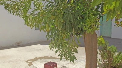 Maison à vendre à Taroudant — Réf. M13967 — photo 6 — réf. M13967