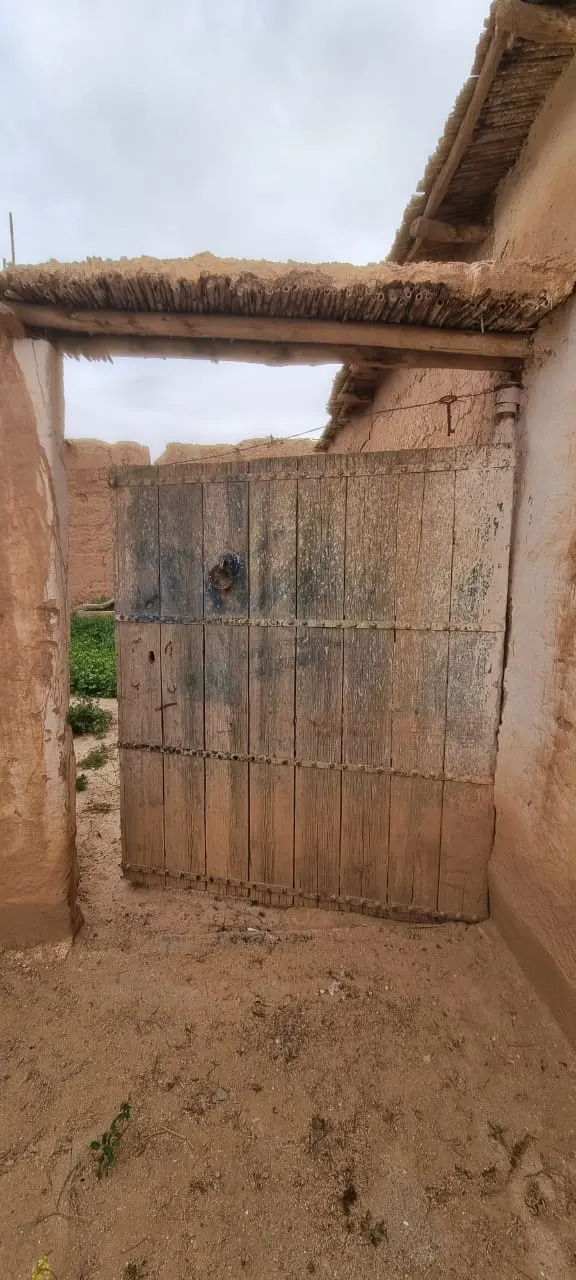 Riad de plus grande Arganier. — photo 21 — réf. M66VVOQ1