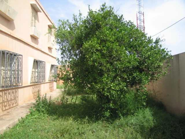 Maison à vendre à Taroudant maroc — Réf. M13749 — photo 2 — réf. M13749