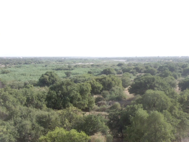 Maison Taroudant — Réf. M13502 — photo 6 — réf. M13502