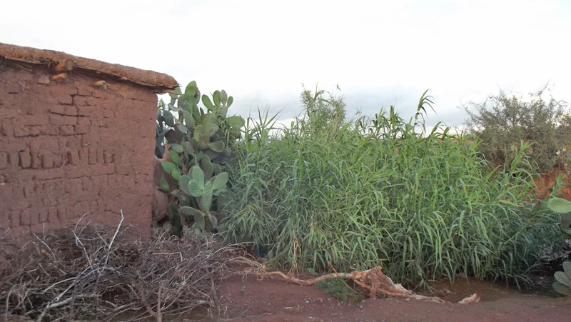 Vente maison à Taroudant Maroc — Réf. M12452 — photo 11 — réf. M12452
