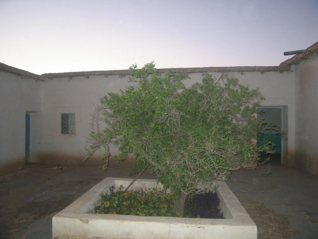 Maison Taroudant à vendre — Réf. M12537 — photo 7 — réf. M12537