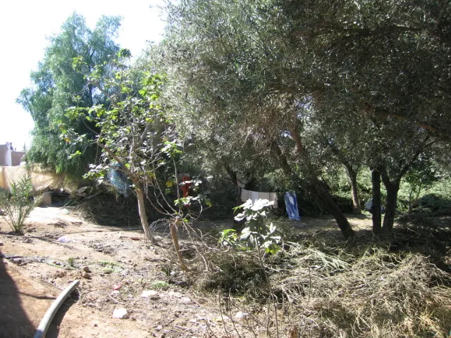 Vente Maison à Taroudant — Réf. M12549 — photo 12 — réf. M12549