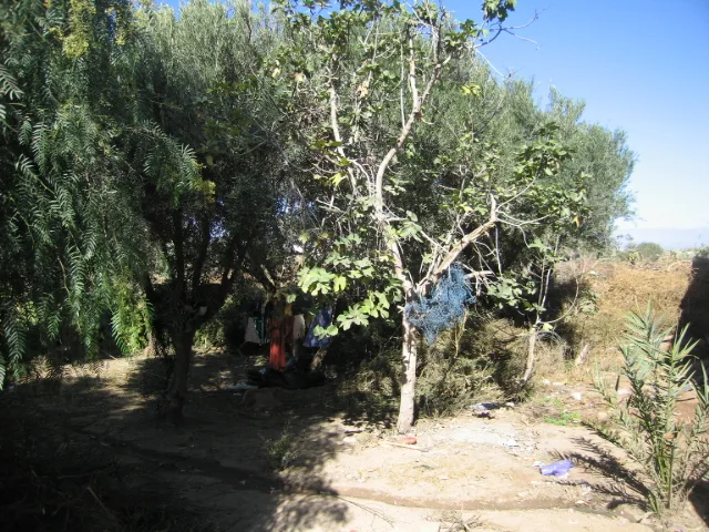 Vente Maison à Taroudant — Réf. M12549 — photo 11 — réf. M12549