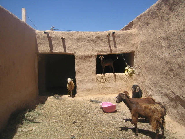 Vente maison à Taroudant — Réf. M12603 — photo 3 — réf. M12603