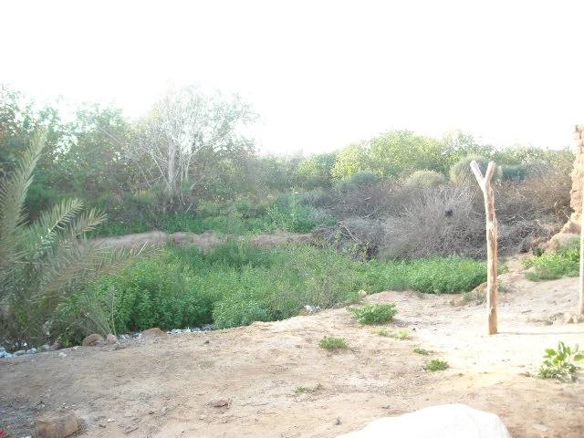 Maison à vendre à Taroudant maroc — Réf. M13214 — photo 4 — réf. M13214
