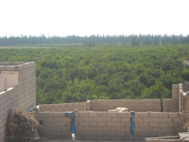 Maison à Taroudant — Réf. M13275 — photo 7 — réf. M13275