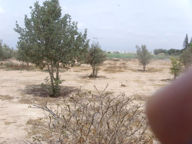 Maison à Taroudant — Réf. M13306 — photo 2 — réf. M13306