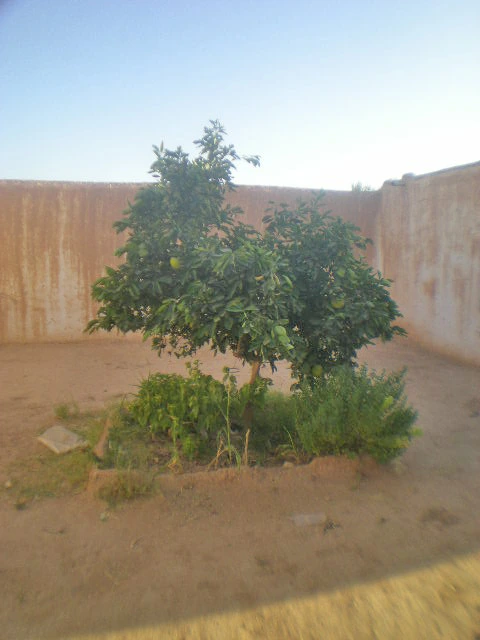 Vente maison à Taroudant — Réf. M13321 — photo 3 — réf. M13321