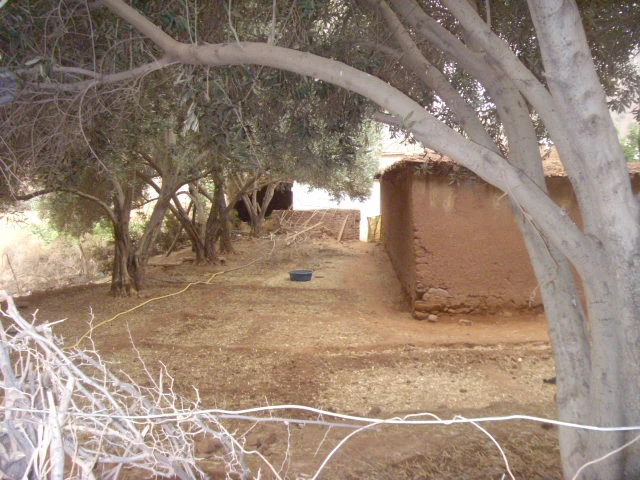 Maison Taroudant a vednre — photo 8 — réf. M13513