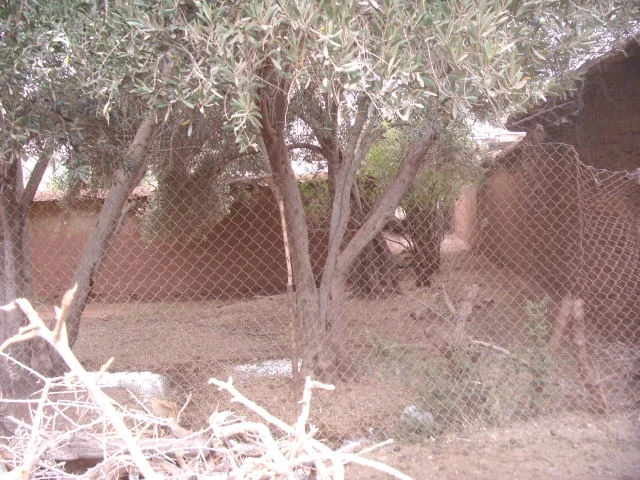 Maison Taroudant a vednre — photo 9 — réf. M13513