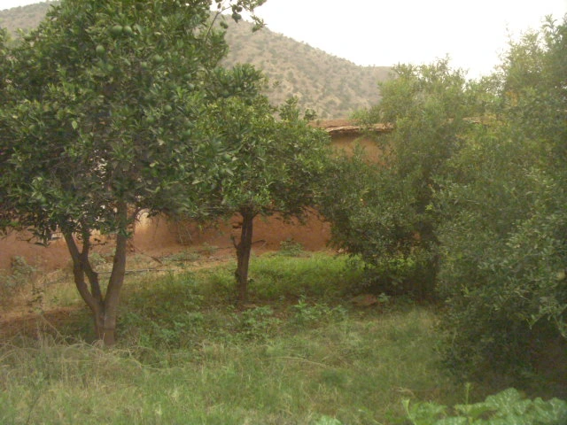 Maison Taroudant a vednre — photo 1 — réf. M13513