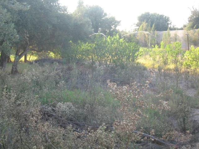 Maison à Taroudant — Réf. M13635 — photo 2 — réf. M13635