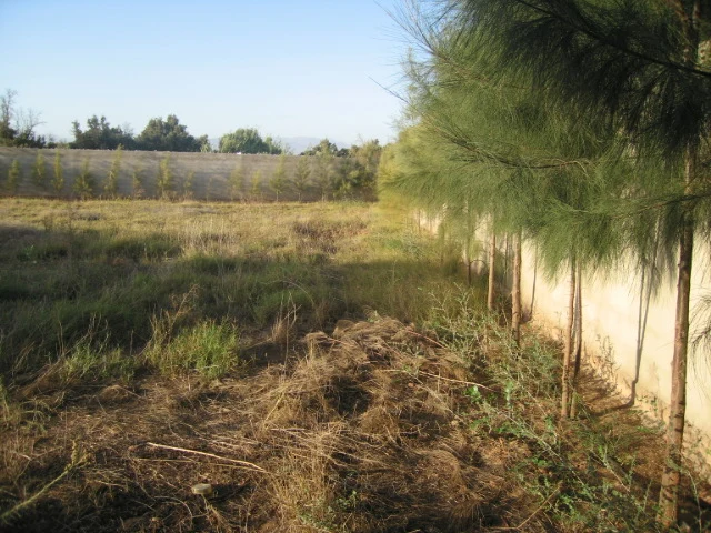 Maison à Taroudant — Réf. M13635 — photo 5 — réf. M13635