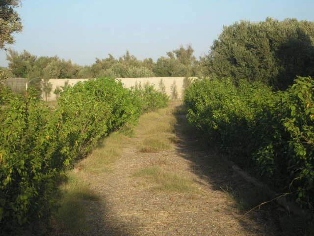 Maison à Taroudant — Réf. M13635 — photo 1 — réf. M13635