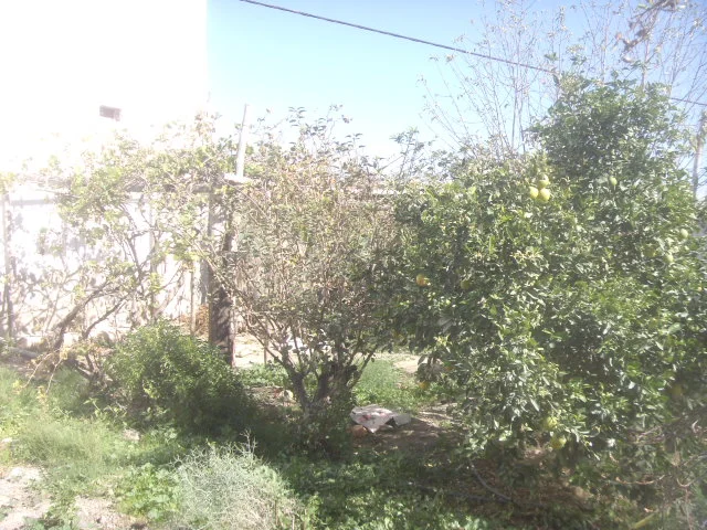 Maison à Taroudant — Réf. M13684 — photo 2 — réf. M13684