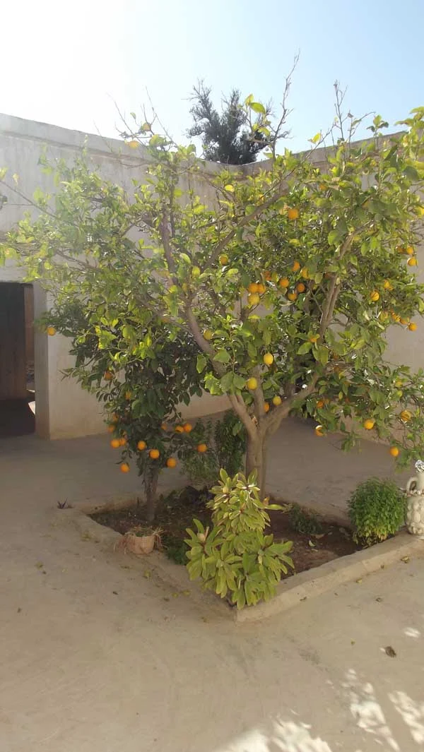 Maison en vente à Taroudant — Réf. M13955 — photo 9 — réf. M13955