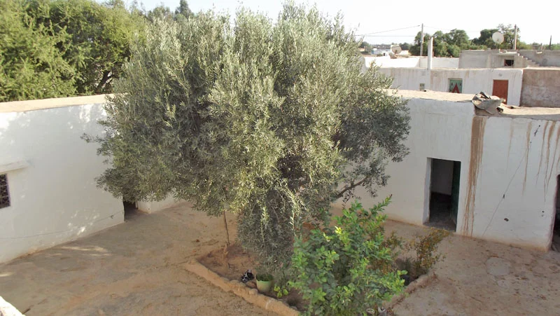 Maison en vente à Taroudant — Réf. M12393 — photo 1 — réf. M12393