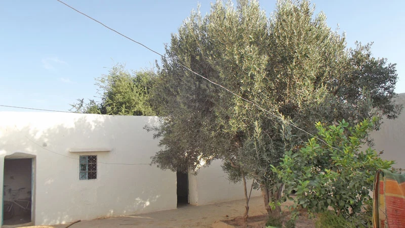 Maison en vente à Taroudant — Réf. M12393 — photo 8 — réf. M12393