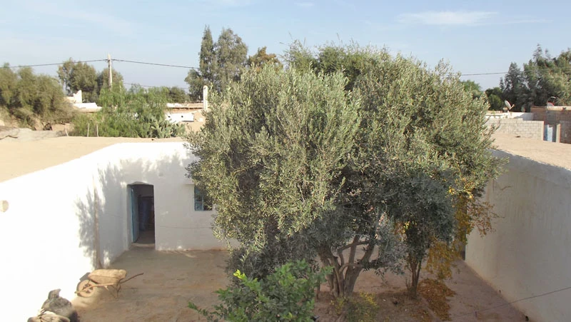 Maison en vente à Taroudant — Réf. M12393 — photo 10 — réf. M12393
