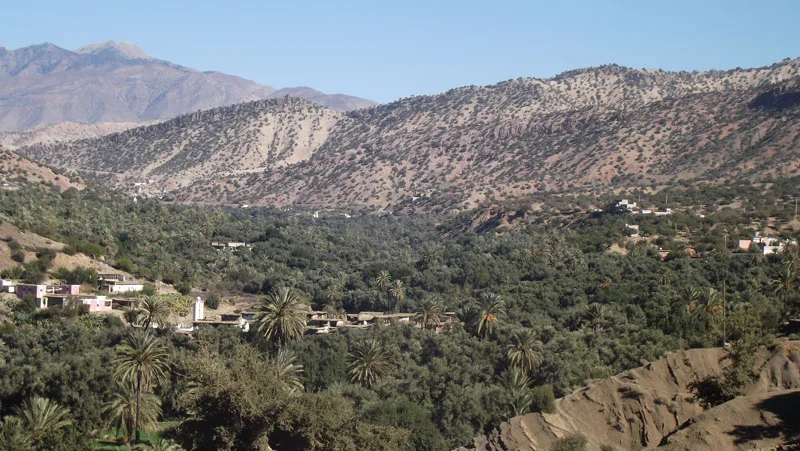 Vente Maison Taroudant — Réf. M13986 — photo 10 — réf. M13986