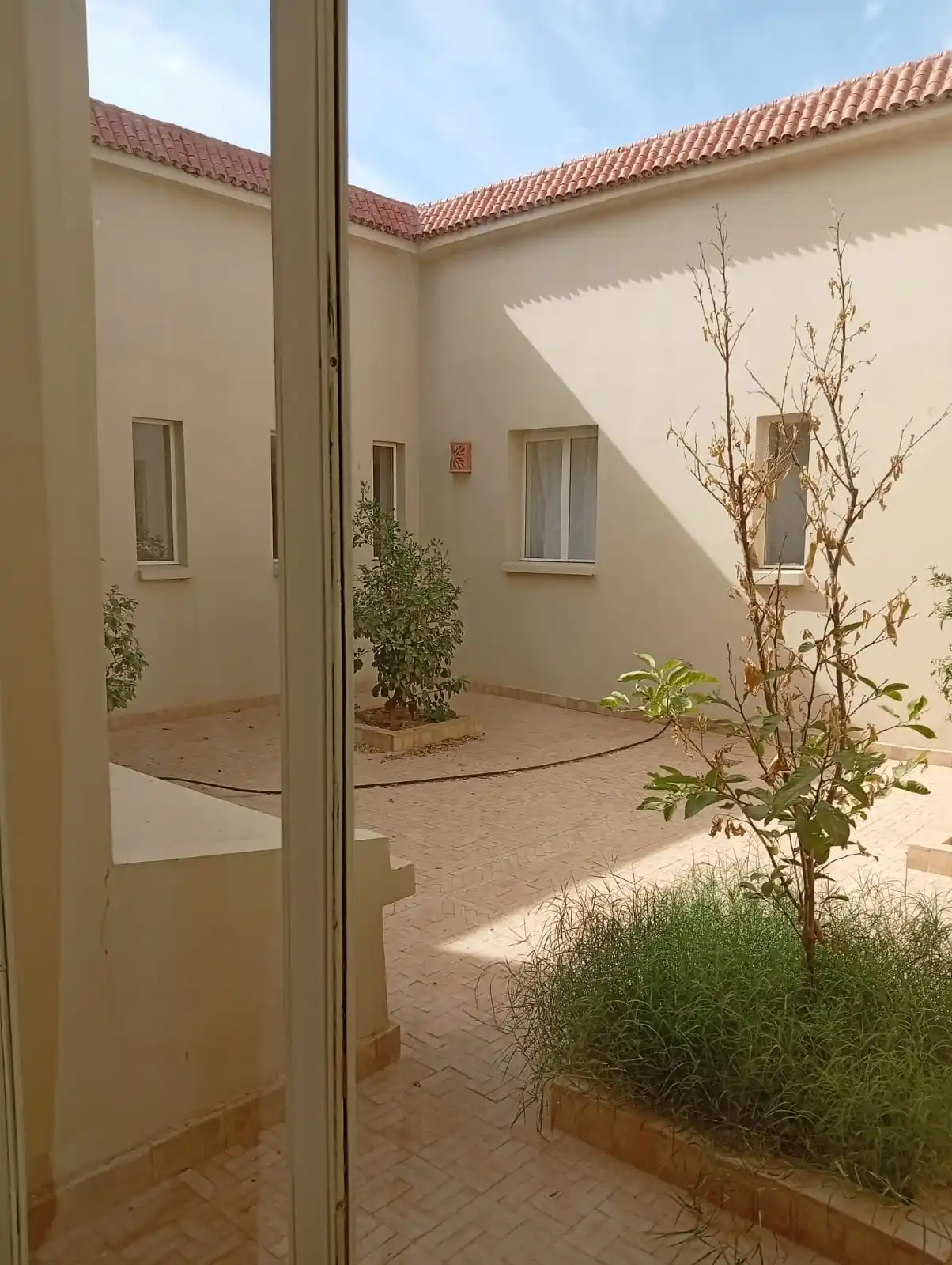 Riad avec un lac pour les oiseaux migrateurs — photo 35 — réf. R1XKW9