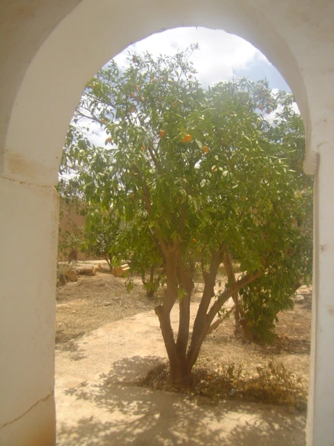 Riad Taroudant — Réf. R13015 — photo 1 — réf. R13015