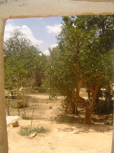 Riad Taroudant — Réf. R13015 — photo 7 — réf. R13015
