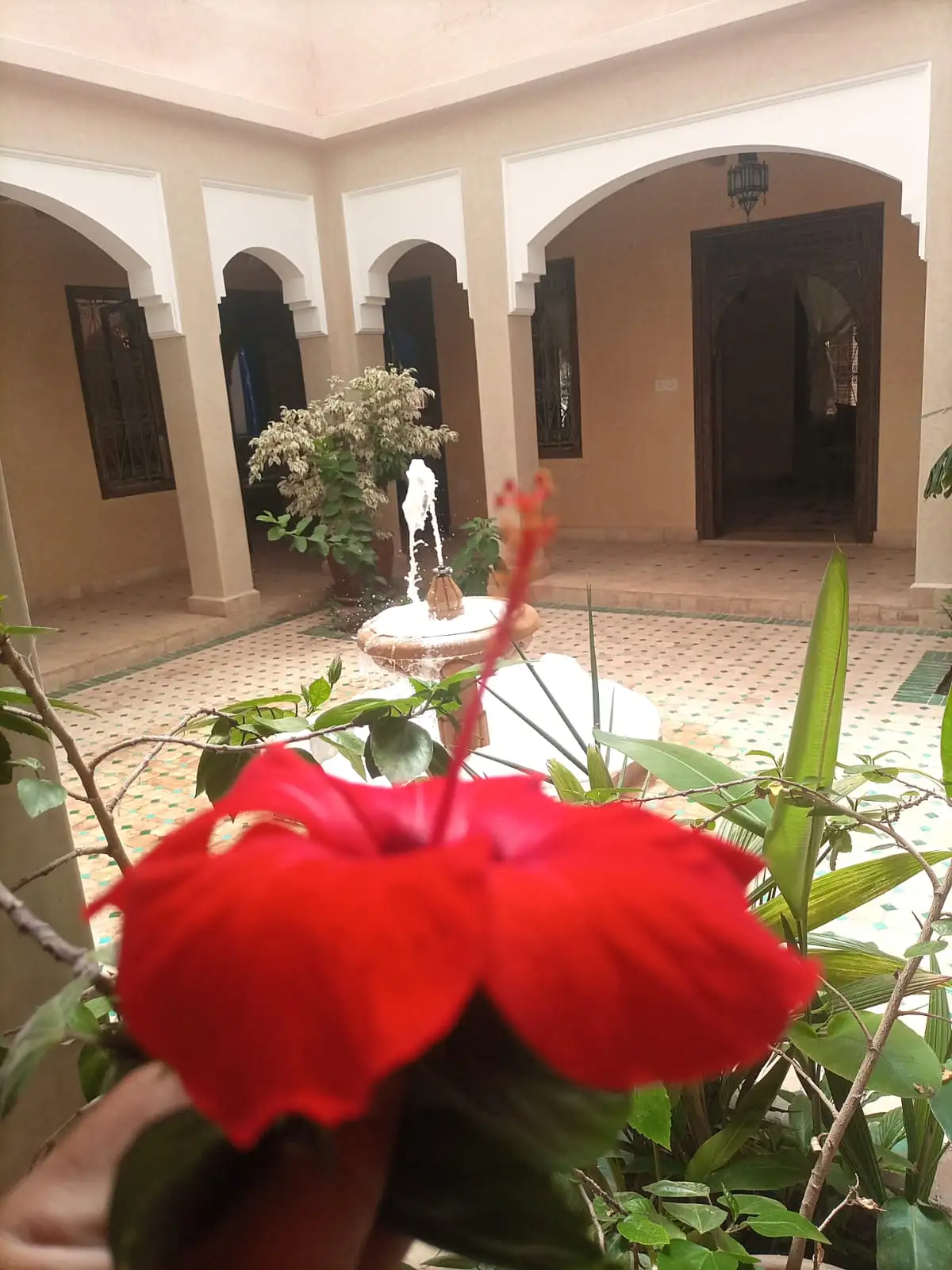 Riad du Charme avec piscine — photo 80 — réf. R89JJ77VAM1