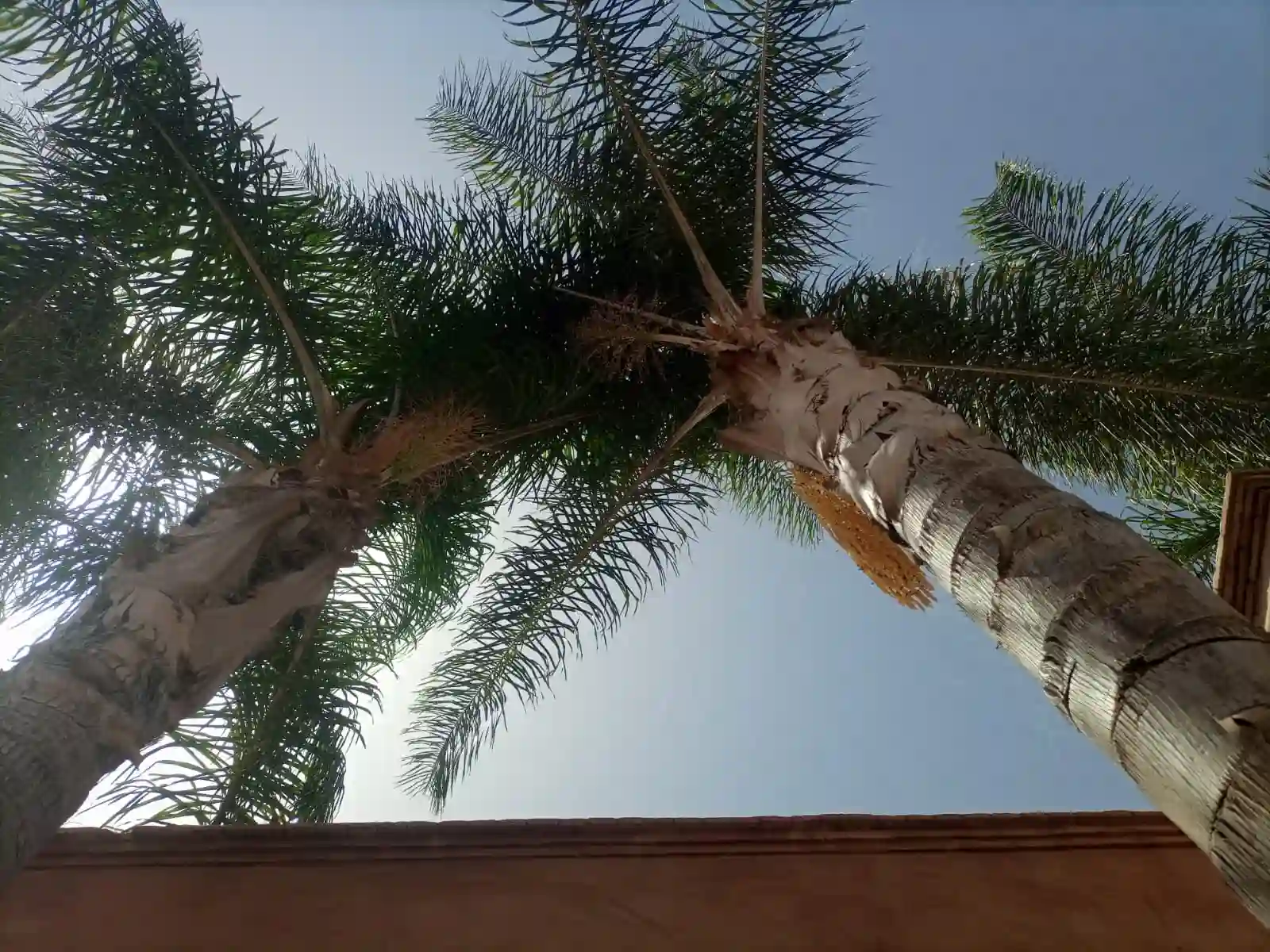 Riad du Charme avec piscine — photo 42 — réf. R89JJ77VAM1