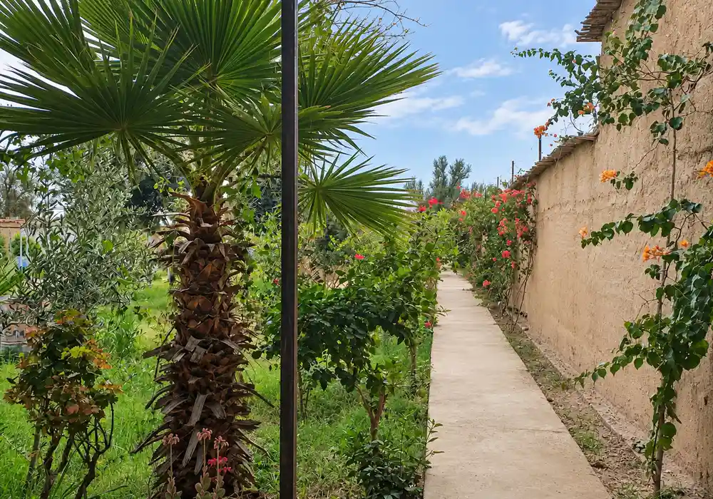 à vendre Riad avec beau jardin — photo 2 — réf. V2544EE