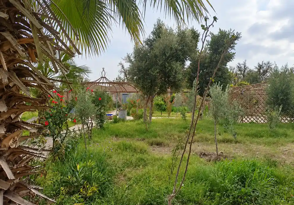 à vendre Riad avec beau jardin — photo 3 — réf. V2544EE