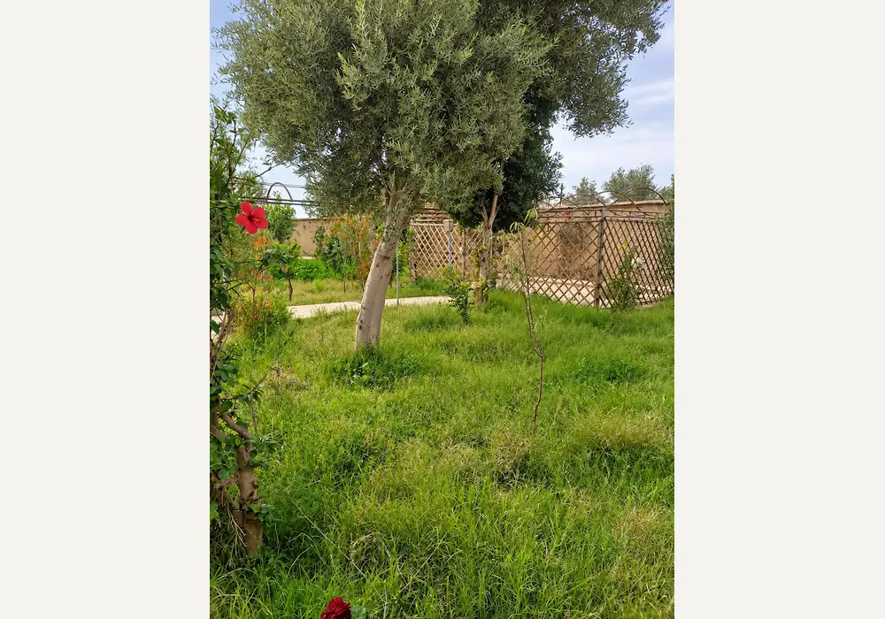 à vendre Riad avec beau jardin — photo 7 — réf. V2544EE