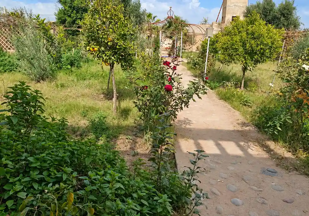 à vendre Riad avec beau jardin — photo 14 — réf. V2544EE