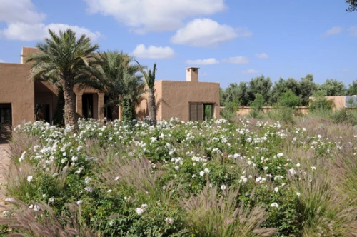 Riad Taroudant en location — photo 7 — réf. L12434