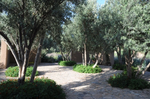 Riad Taroudant en location — photo 8 — réf. L12434