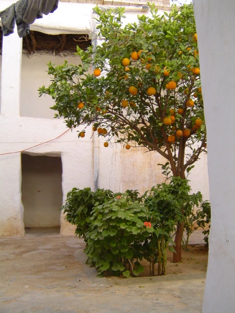 Riad Taroudant — Réf. R12062 — photo 7 — réf. R12062