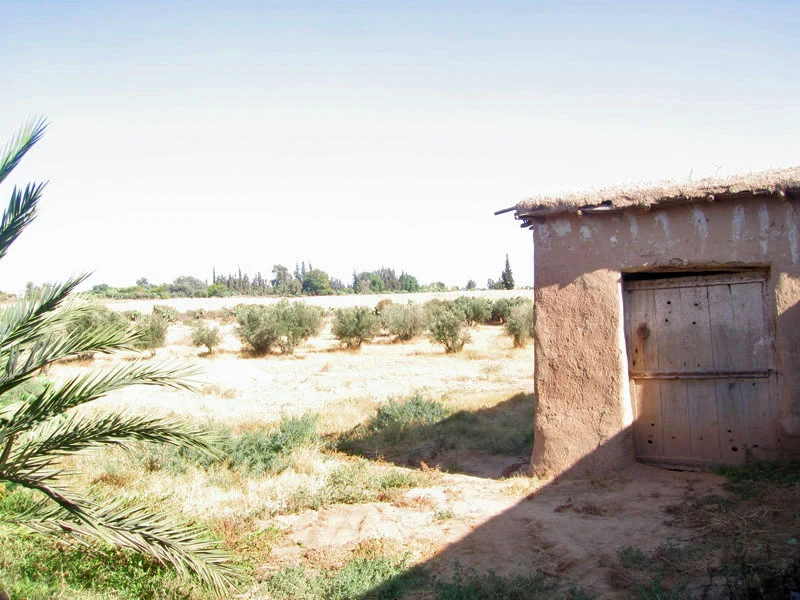 Riad avec un spacieuse terrain en vente à Taroudant — photo 1 — réf. R12594