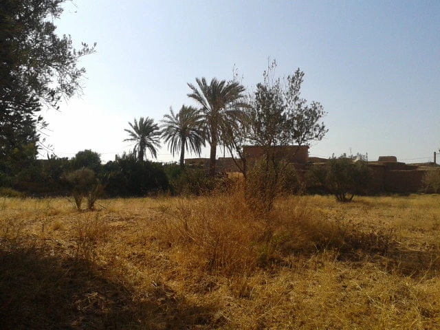 Riad avec un spacieuse terrain en vente à Taroudant — photo 12 — réf. R12594