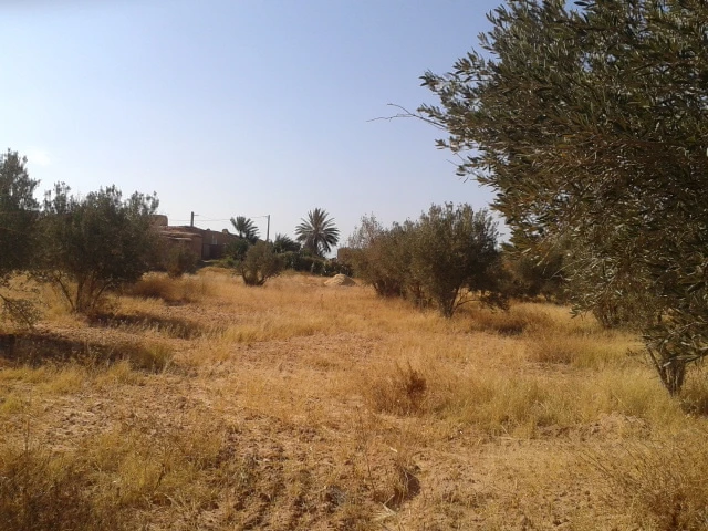 Riad avec un spacieuse terrain en vente à Taroudant — photo 13 — réf. R12594
