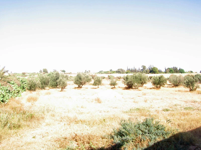 Riad avec un spacieuse terrain en vente à Taroudant — photo 3 — réf. R12594