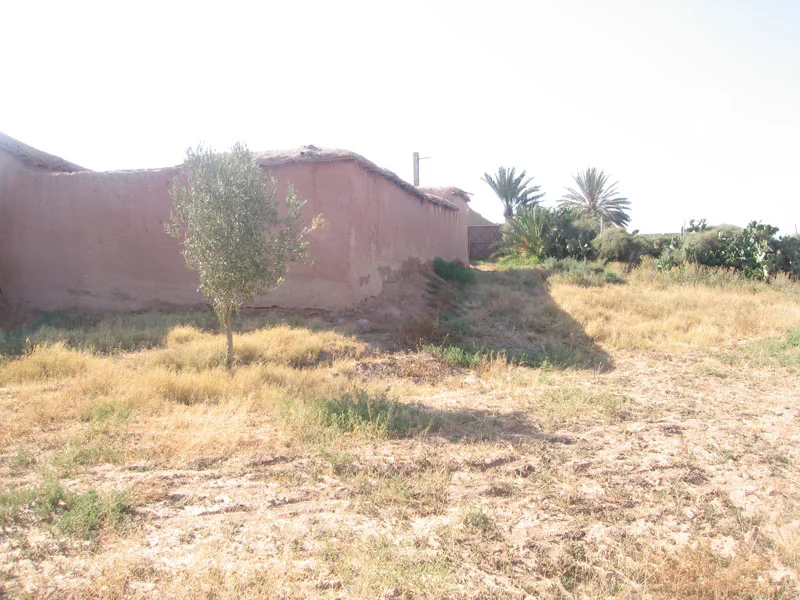 Riad avec un spacieuse terrain en vente à Taroudant — photo 4 — réf. R12594