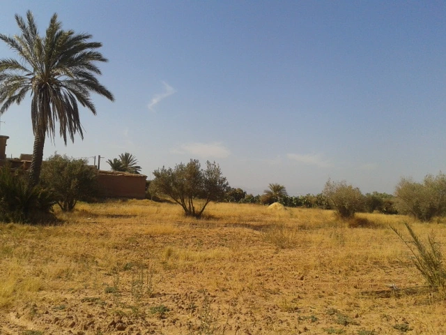 Riad avec un spacieuse terrain en vente à Taroudant — photo 5 — réf. R12594