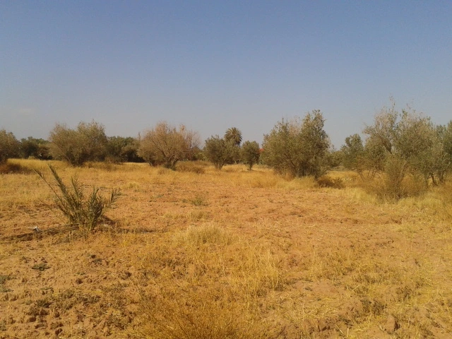 Riad avec un spacieuse terrain en vente à Taroudant — photo 6 — réf. R12594