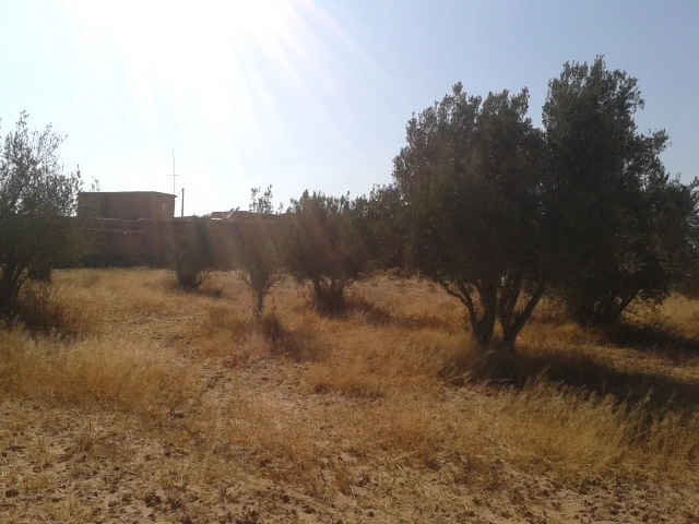 Riad avec un spacieuse terrain en vente à Taroudant — photo 9 — réf. R12594
