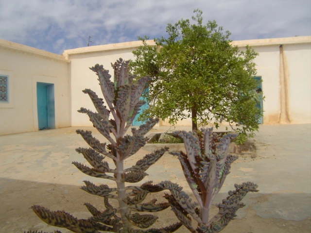 Riad Taroudant — Réf. R13021 — photo 3 — réf. R13021