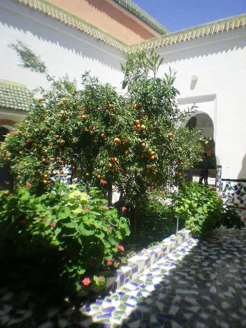 Vente Riad Taroudant — Réf. R13043 — photo 28 — réf. R13043