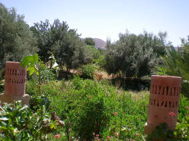 Vente Riad Taroudant — Réf. R13043 — photo 33 — réf. R13043