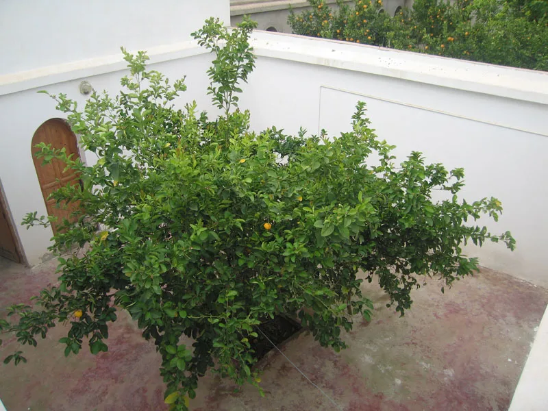 Riad Taroudant — Réf. R13701 — photo 15 — réf. R13701