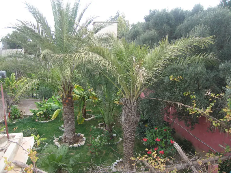 Riad Taroudant — Réf. R13701 — photo 25 — réf. R13701